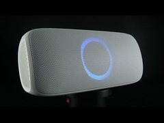 Audio impermeabile Ipx7 Bluetooth Altoparlante per feste all'aperto Funzione di chiamata a mani libere