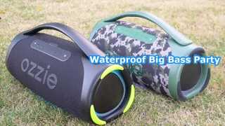 ES400L Altoparlante per feste all'aperto Big Bass