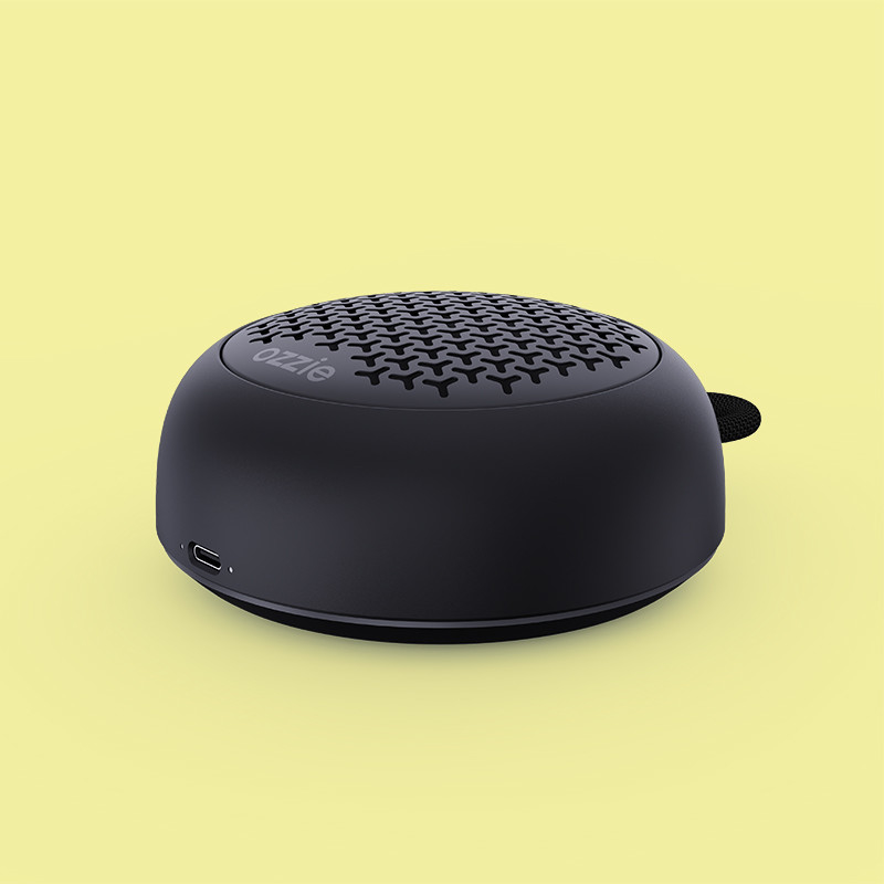Altoparlante portatile Bluetooth da 5W con carica DC5V/1A Tipo C Capacità della batteria 3.7V/800mAh