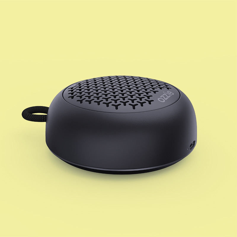 Altoparlante portatile Bluetooth da 5W con carica DC5V/1A Tipo C Capacità della batteria 3.7V/800mAh